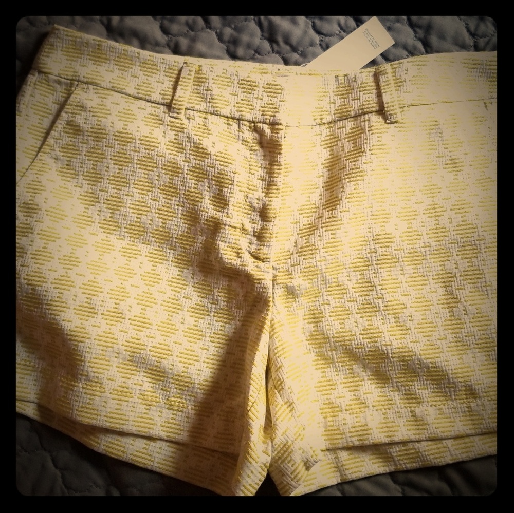 LOFT Shorts